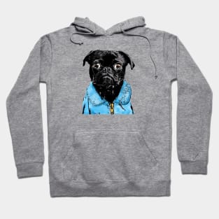 Cool Punk Pug - Would You Look At ME? Hoodie